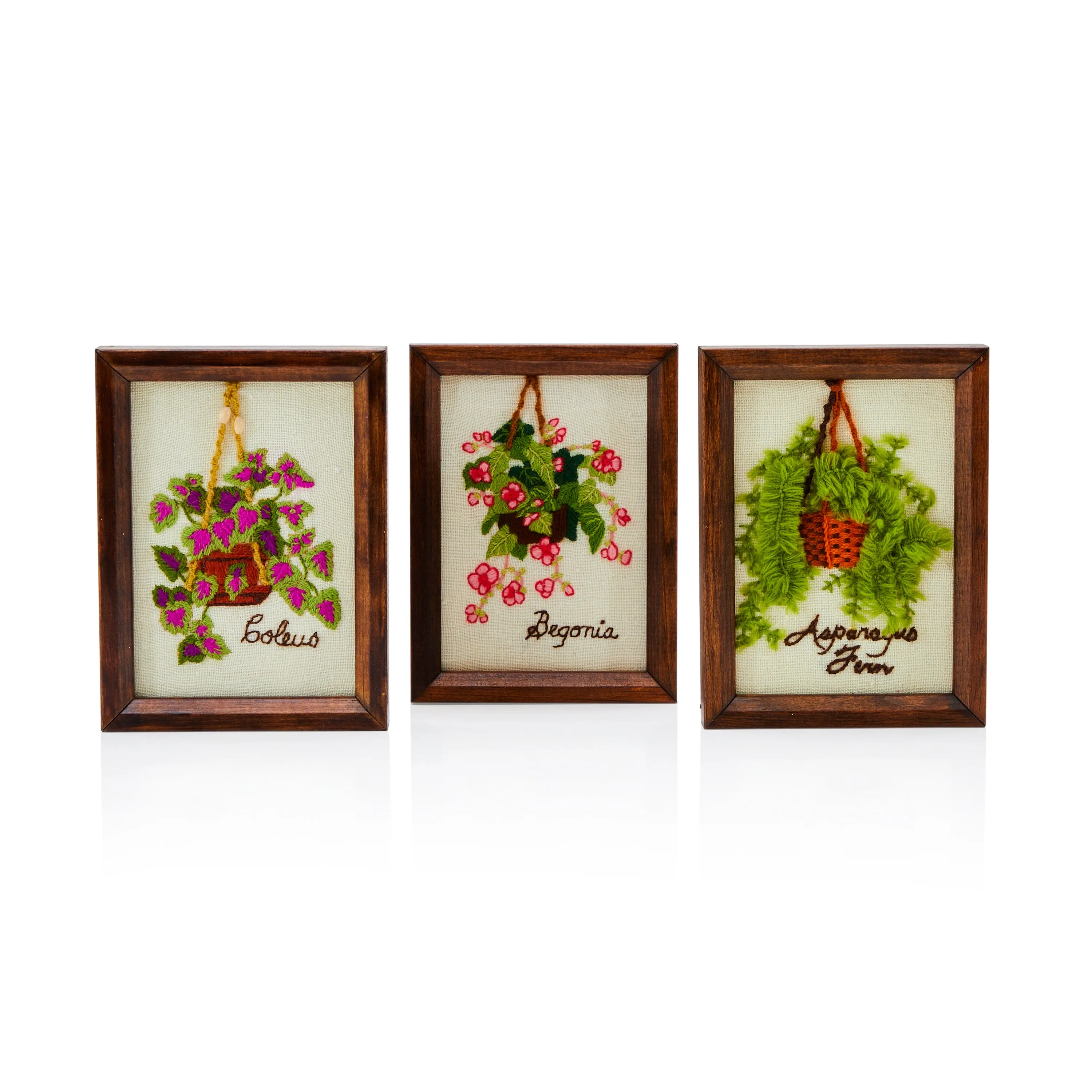 0041 (A D) Green & Pink Begonia Embroidery Art