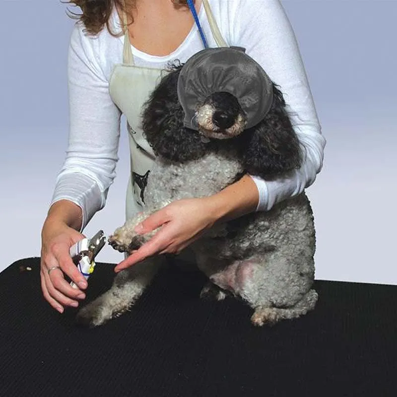 Calming Cap / ThunderCap from ThunderShirt, Dog Calming Aid