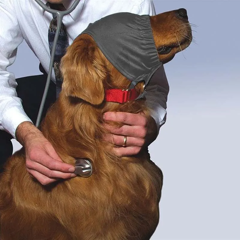 Calming Cap / ThunderCap from ThunderShirt, Dog Calming Aid