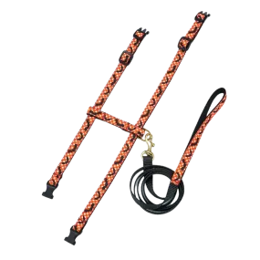 Cat Harness & Leash | Batty
