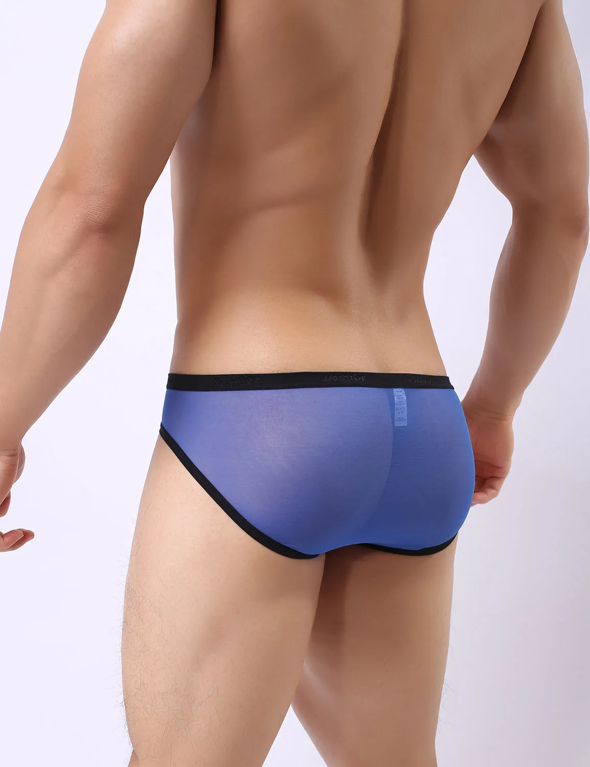 Low Rise Mesh Briefs 5044