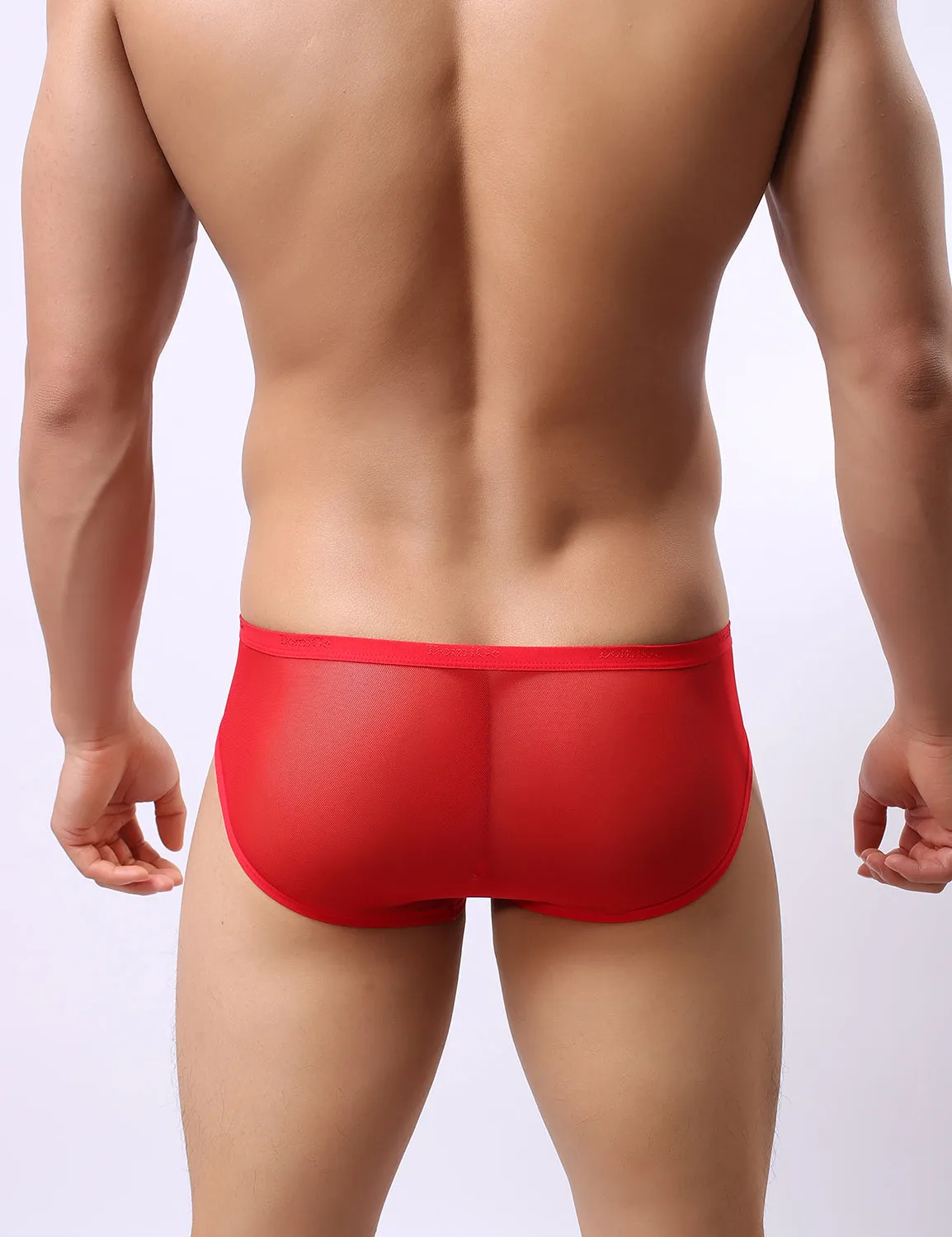 Low Rise Mesh Briefs 5044