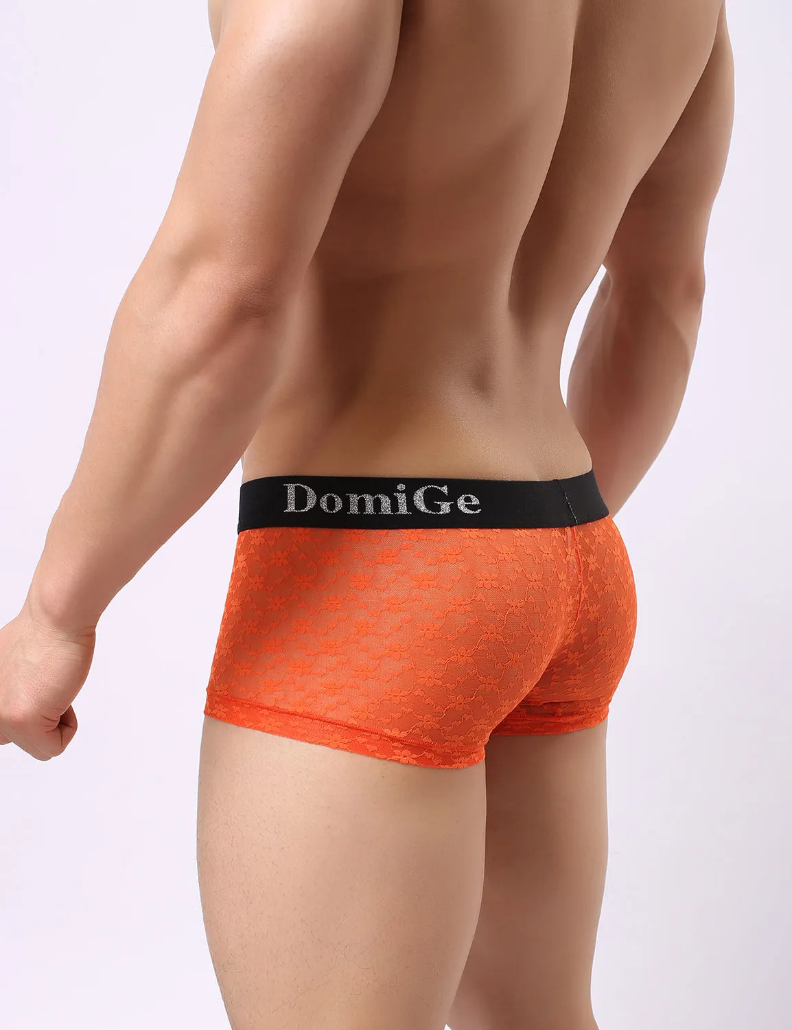 Mesh Boxer Briefs 5230