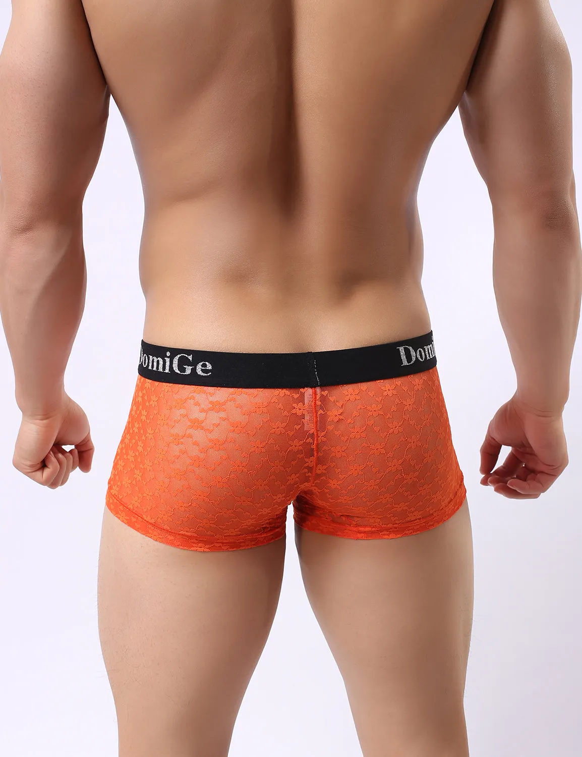 Mesh Boxer Briefs 5230