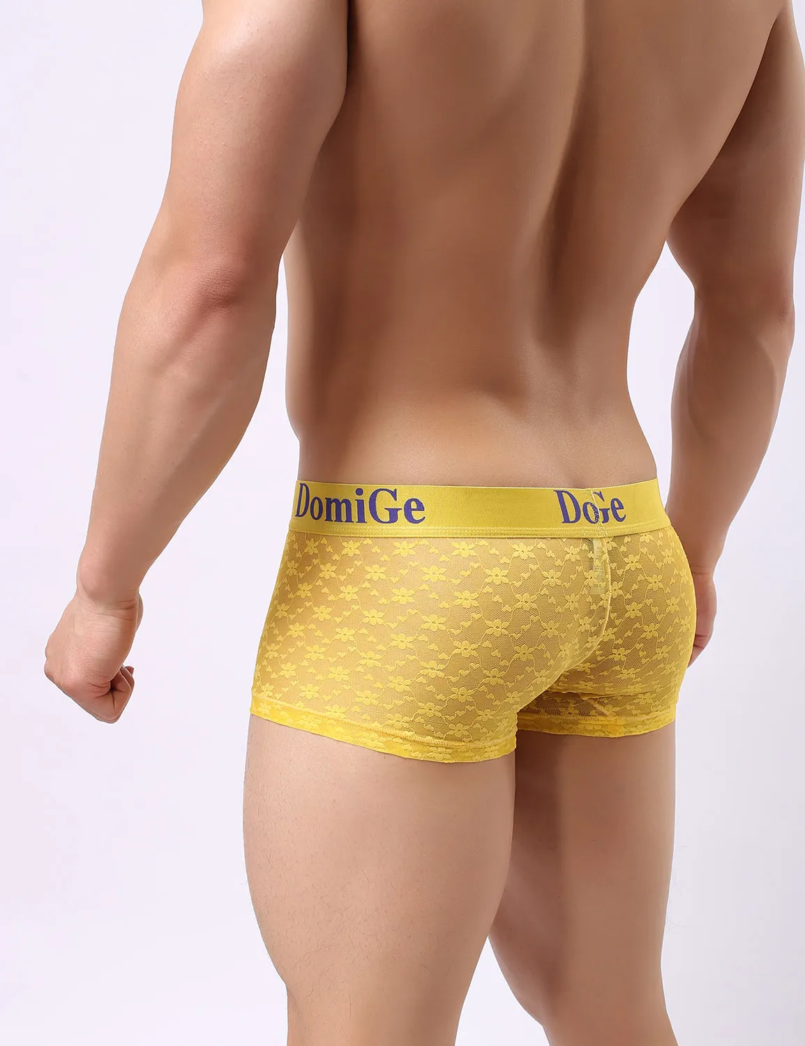 Mesh Boxer Briefs 5230