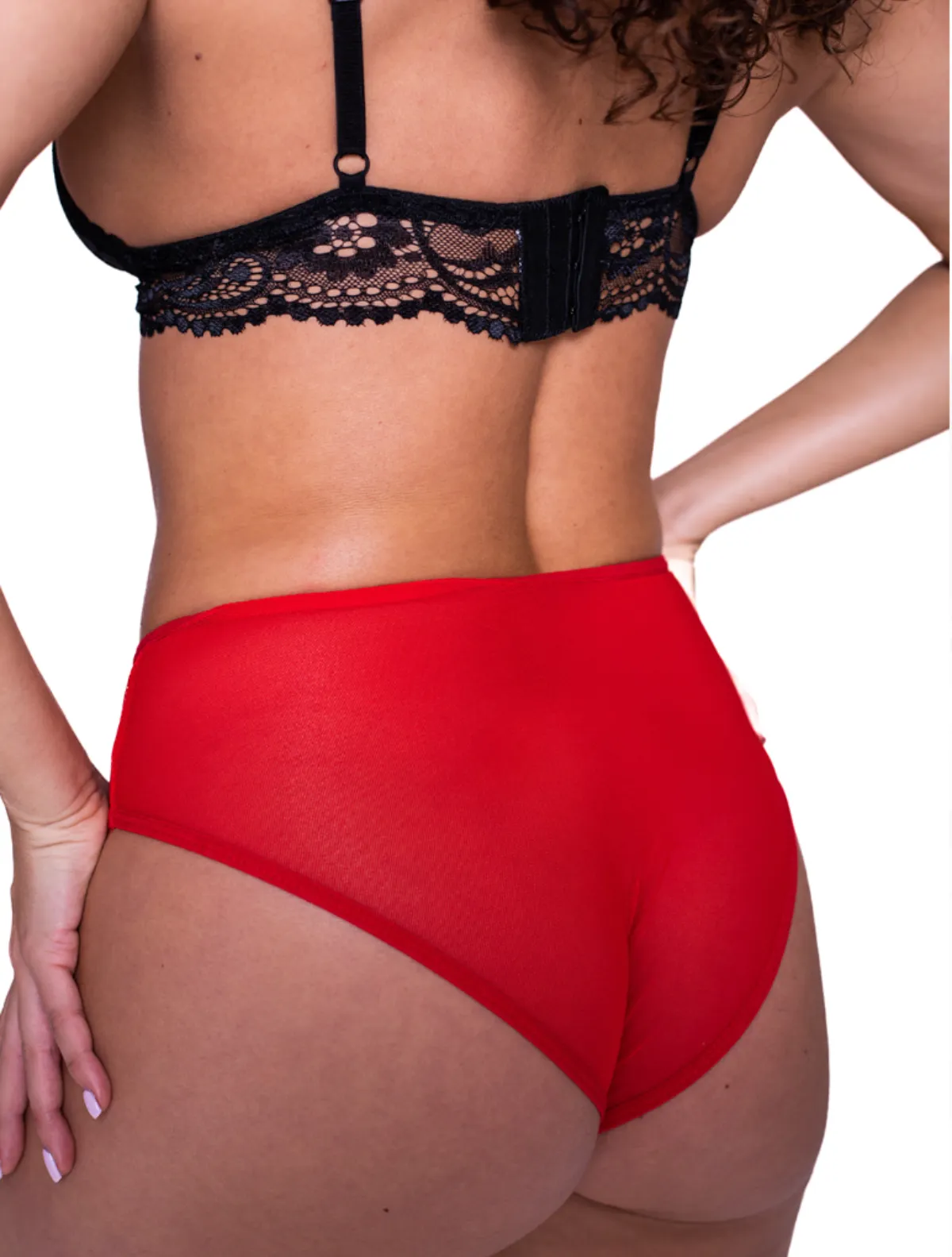 Red Lace Full-Coverage Mesh Brief