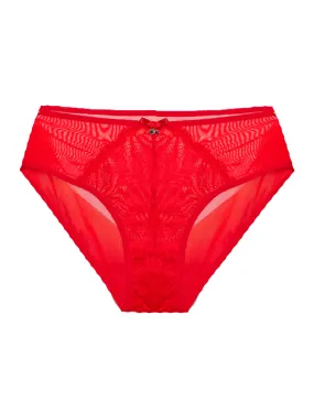 Red Lace Full-Coverage Mesh Brief